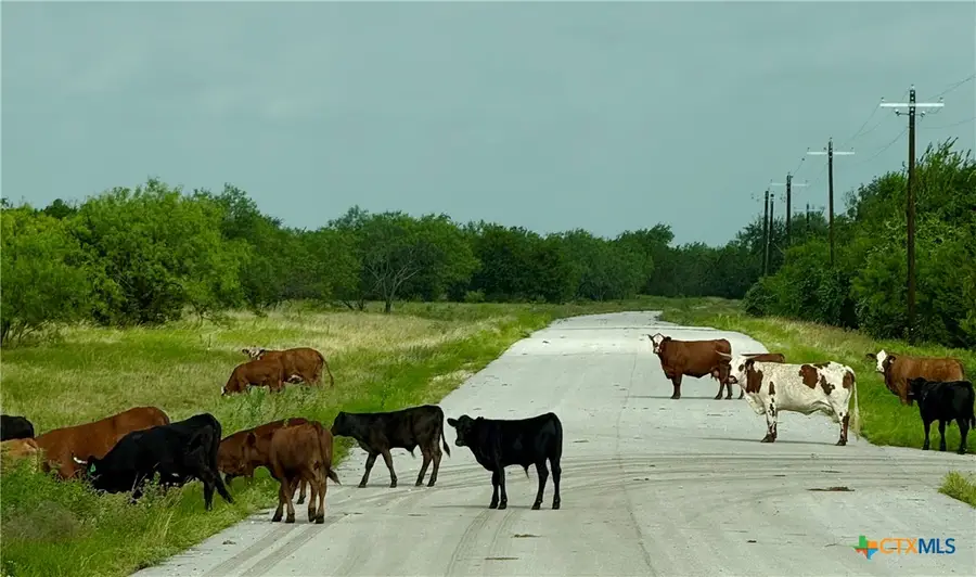 0 Pitchfork Ranch Road, Copperas Cove, TX 76522 - #2