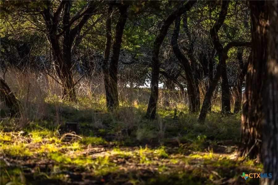 1260 County Road 2001, Lampasas, TX 76550 - #2