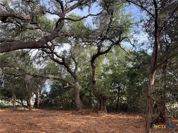 1371 Four Winds Drive, Canyon Lake, TX 78133
