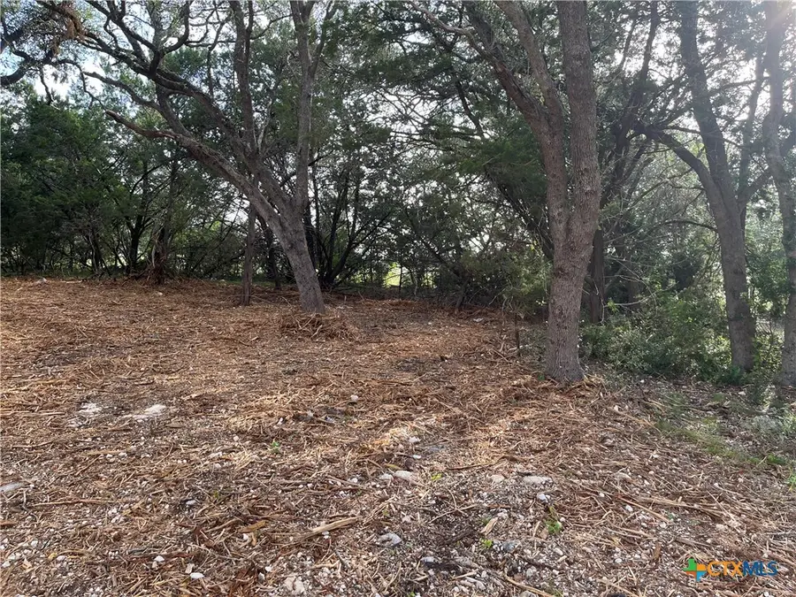 1371 Four Winds Drive, Canyon Lake, TX 78133 - #2