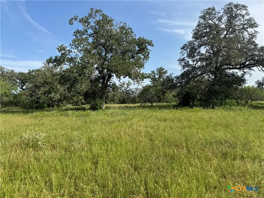 0 Batey Ranch Road, Nixon, TX 78140 - #3