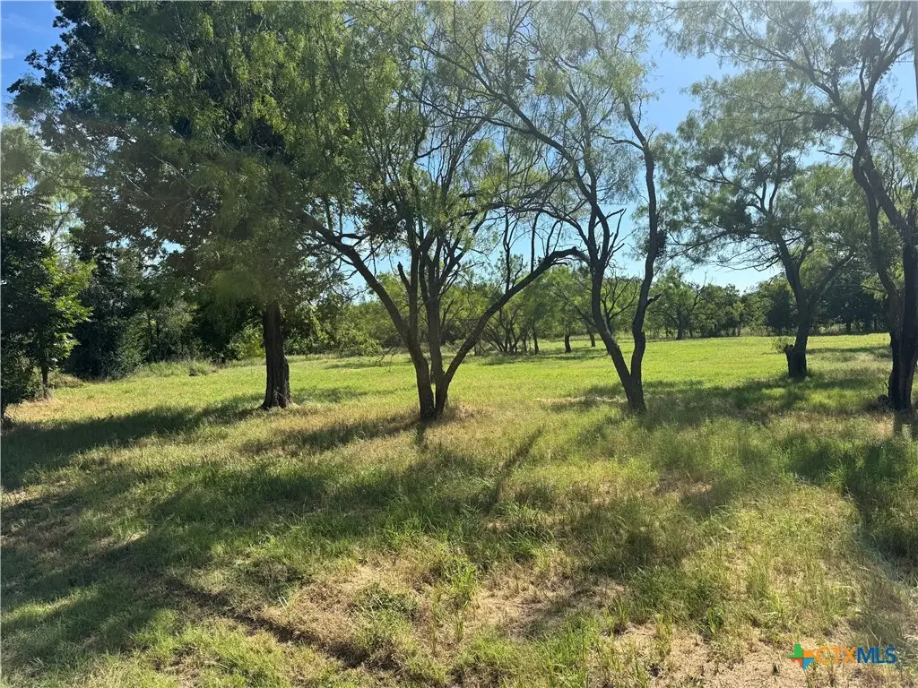 Lot 2 N Sixth Street, Bangs, TX 76823 - #1