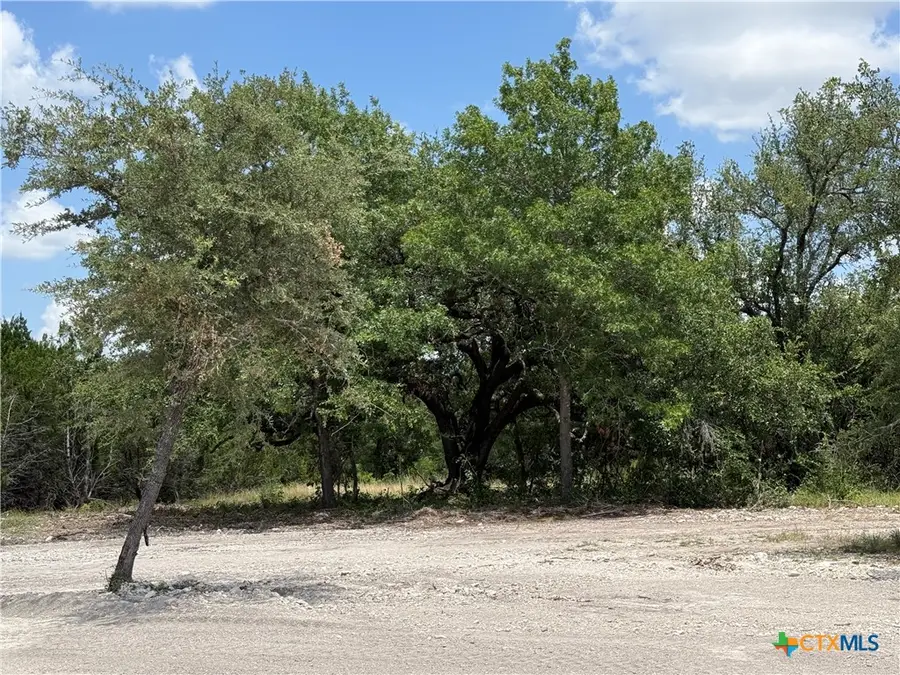 1092 Kenton Parkway, Salado, TX 76571 - #2