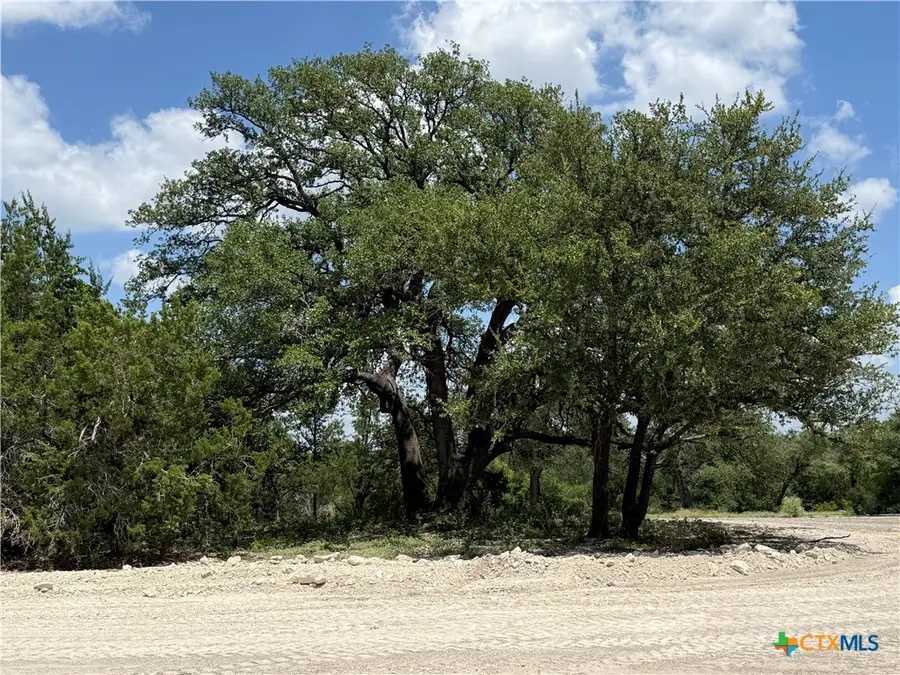 1201 Gannon Trail, Salado, TX 76571 - #2