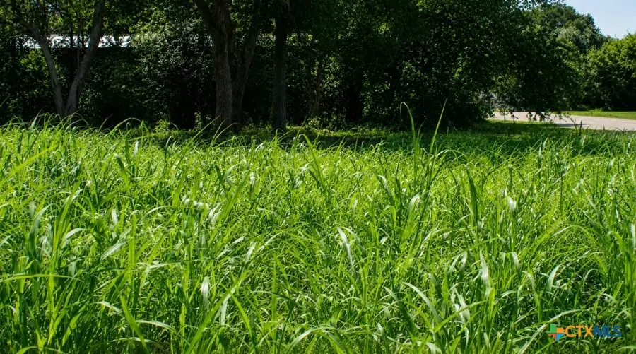 Lot 5 SW Blk Avenue, Waelder, TX 78959 - #2