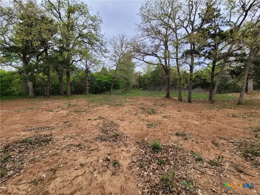 160 Arbor Hill Way, Cedar Creek, TX 78612 - #3