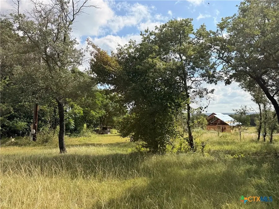 231 County Road 4953, Kempner, TX 76539 - #2