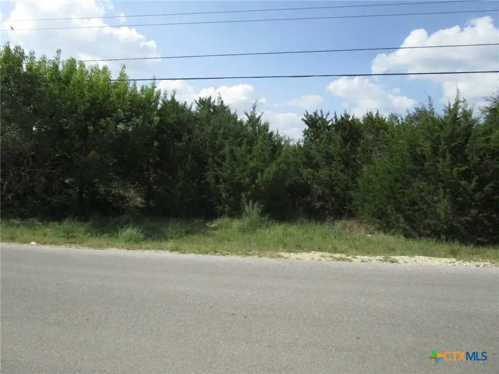 3246 Hawthorne Road, Spring Branch, TX 78070 - #1