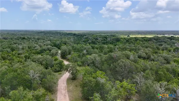 TBD Cr 420, Waelder, TX 78959
