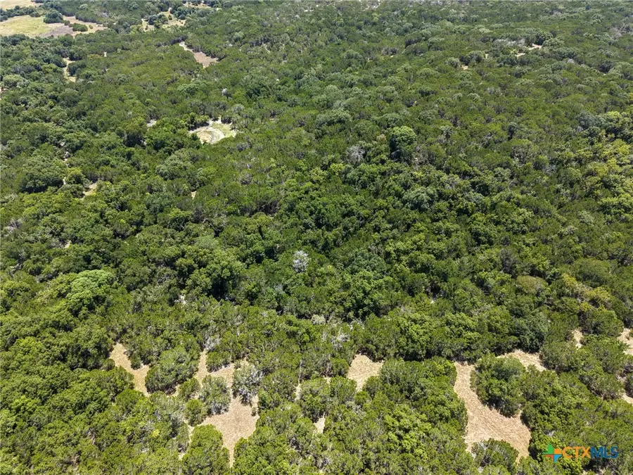TBD Greenbriar Road, Gatesville, TX 76528 - #3
