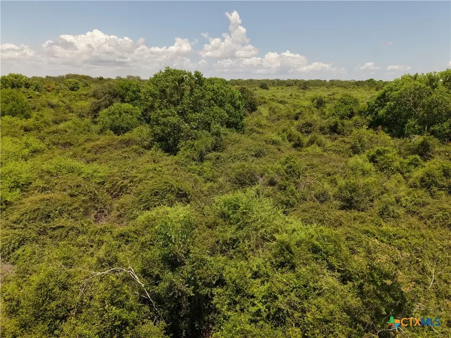 TBD Cr 302, Port Lavaca, TX 77979 - #3