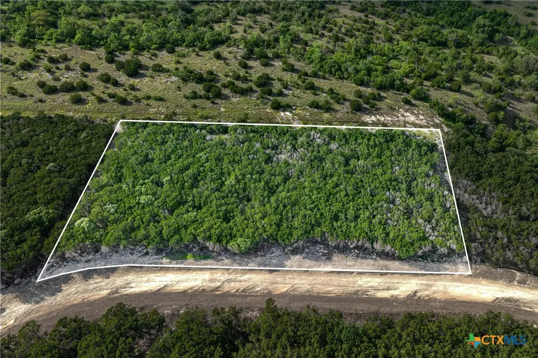 TBD Tract 19 Hank Williams Way, Burnet, TX 78605 - #1