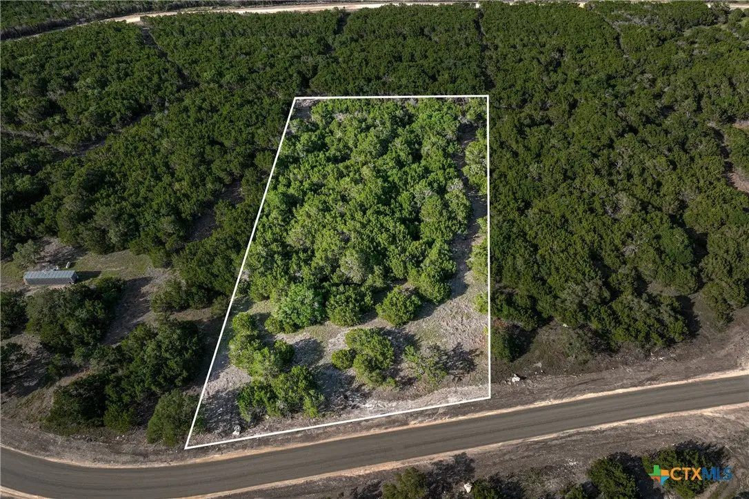 TBD Tract 31 Hank Williams Way, Burnet, TX 78605 - #1