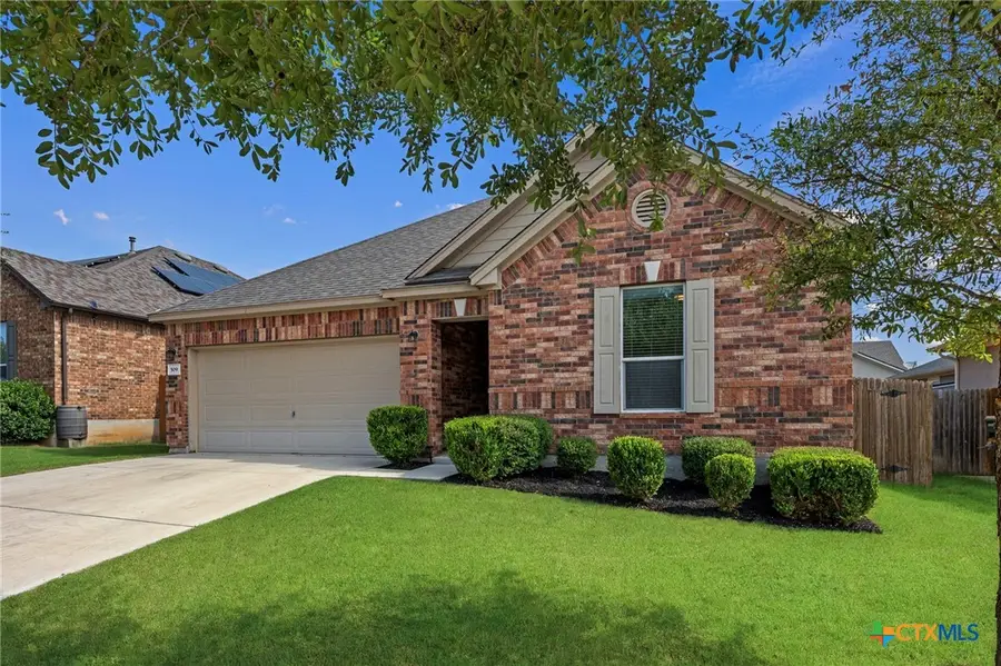 509 Sheepshank Drive, Georgetown, TX 78633 - #2