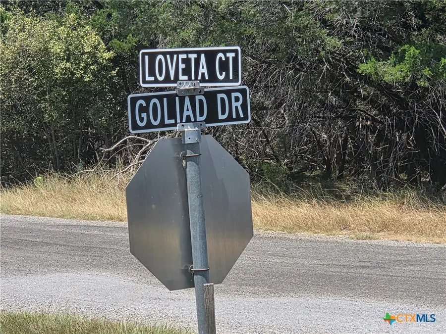 4969 Goliad Drive, Temple, TX 76502 - #2