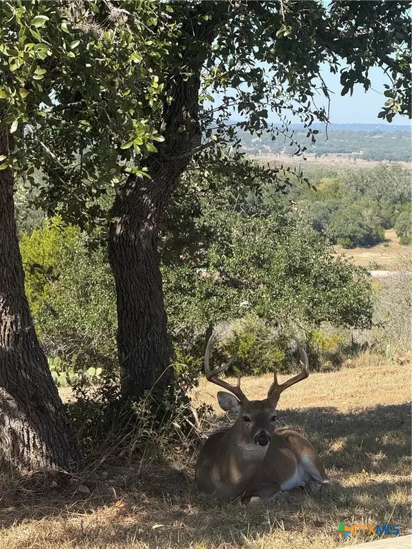 1279 Kings Cove Drive, Canyon Lake, TX 78133