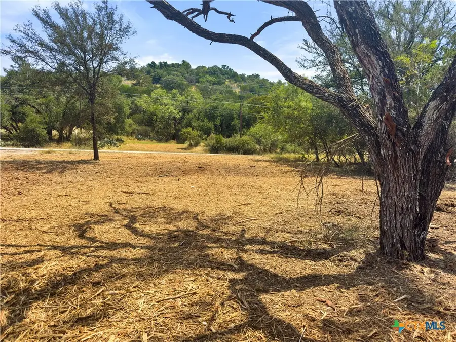 238 Sandy Mountain Drive, Sunrise Beach Village, TX 78643 - #3