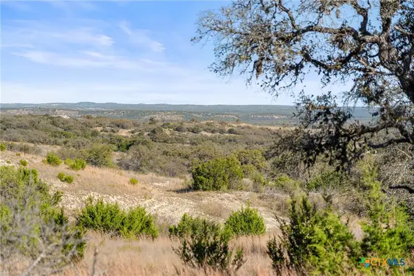 328 Cypress View Drive, Johnson City, TX 78636