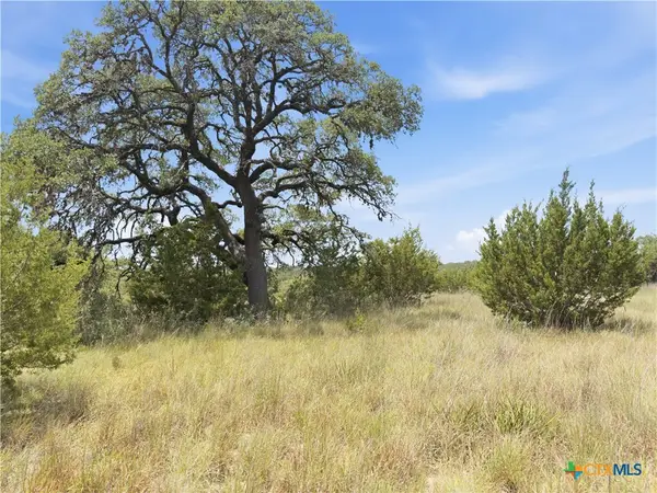 963 Summit Ridge Trail, Johnson City, TX 78636