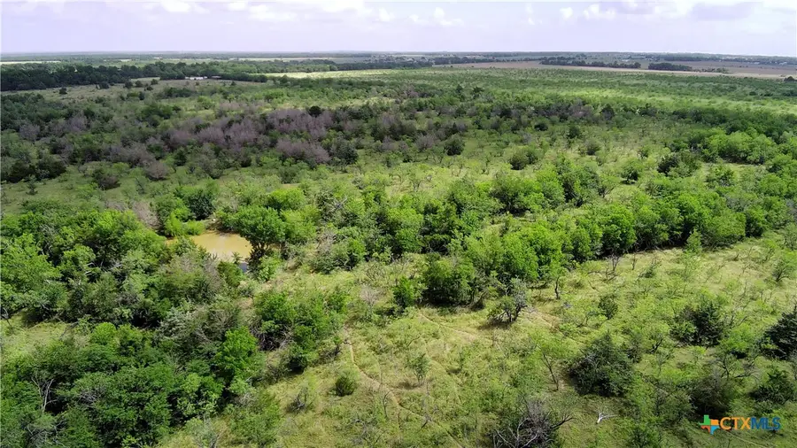 000 Lcr 663, Kosse, TX 76653 - #2