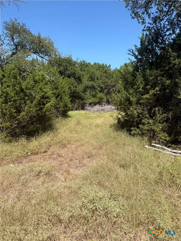 TBD Mojave Lane, Morgans Point Resort, TX 76513