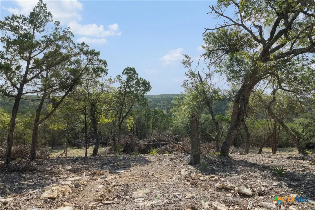 Tract 4 Mount Olive School Road, Wimberley, TX 78676 - #1