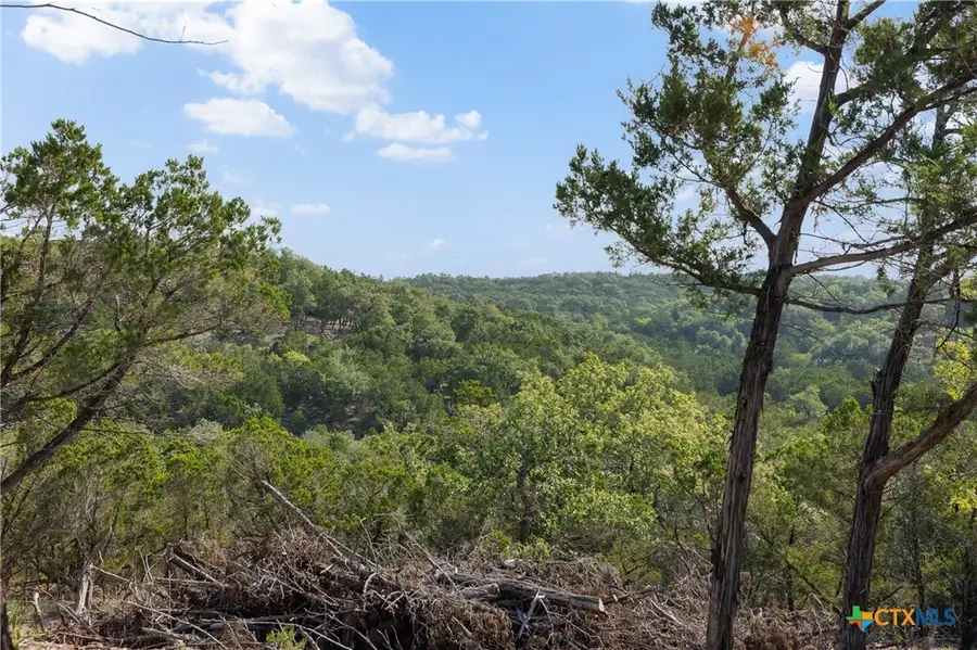 Tract 4 Mount Olive School Road, Wimberley, TX 78676 - #2