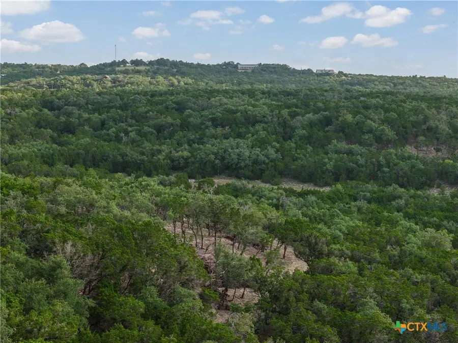 Tract 4 Mount Olive School Road, Wimberley, TX 78676 - #3