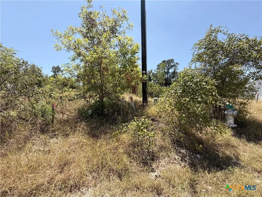 412 E Avenue H, Belton, TX 76513 - #3