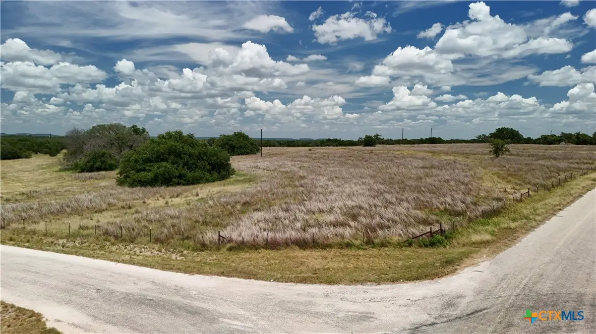 266 Miller Creek Bluff, Briggs, TX 78608 - #1