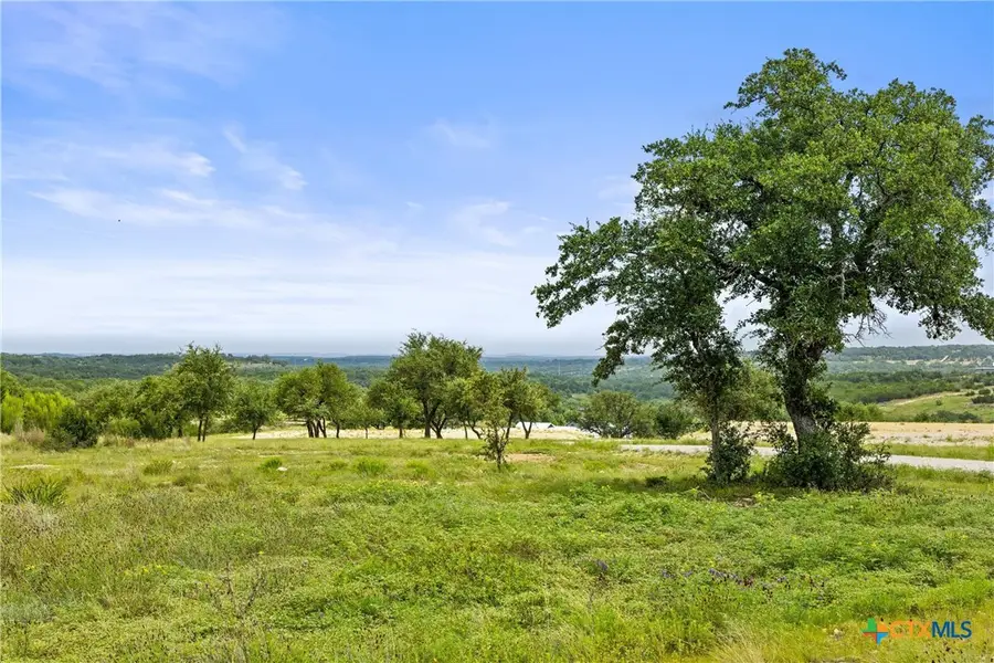 195 Lilly Belle Way, Johnson City, TX 78636 - #3