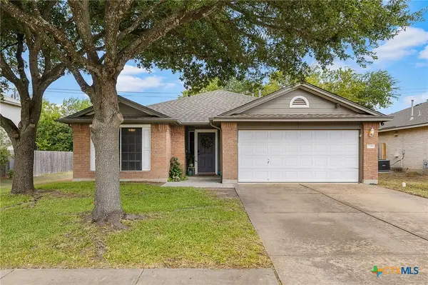 17708 Limpia Creek Drive, Round Rock, TX 78664
