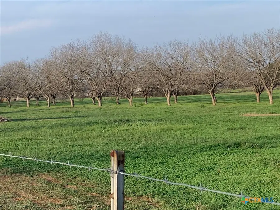 263 Krams Creek Road, Seguin, TX 78155 - #3