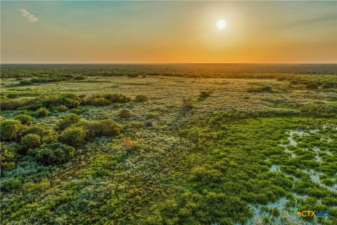 000 Fm 239, Tivoli, TX 77990 - #1