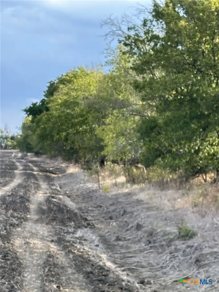 tbd Cr 451, Lott, TX 76656 - #2