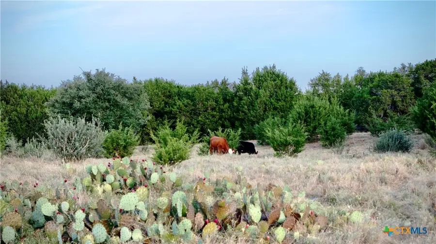 Lot 2A Private Road 1240, Lampasas, TX 76550 - #3