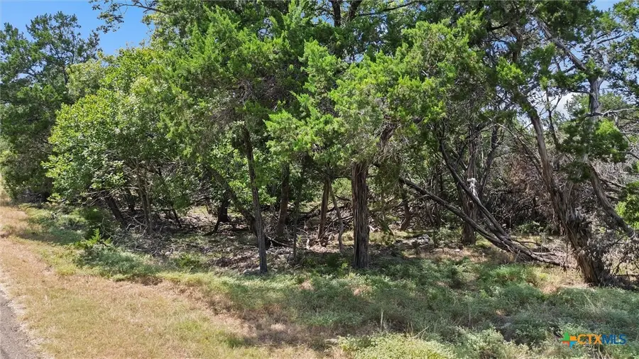 0 Prickly Pear, Belton, TX 76513 - #3