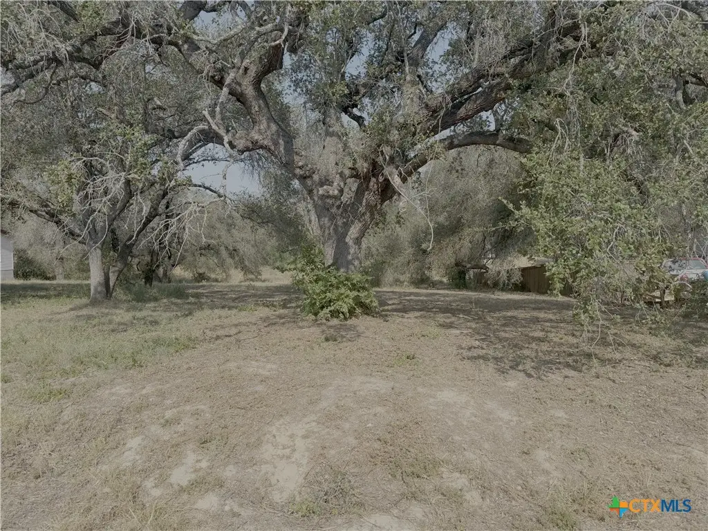 22815 Grand Spring, Elmendorf, TX 78112 - #1