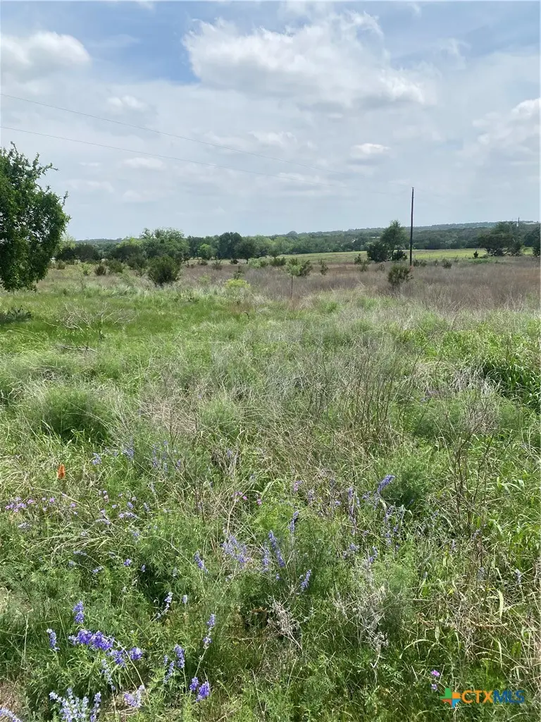 305 County Road 2227, Lampasas, TX 76550 - #3