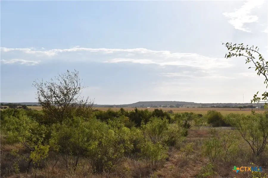 3877 W Us Highway 190, Lometa, TX 76853 - #3