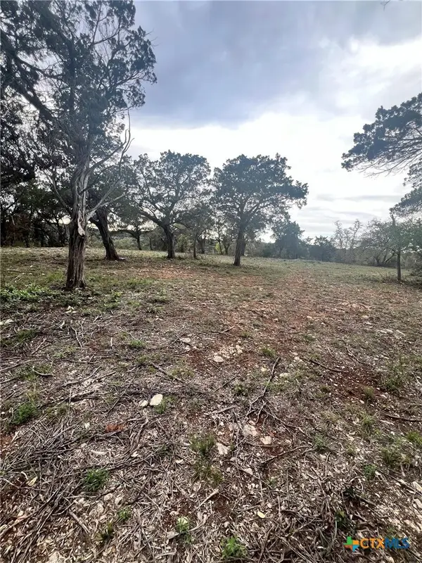 19705 Tyler Trail, Leander, TX 78645