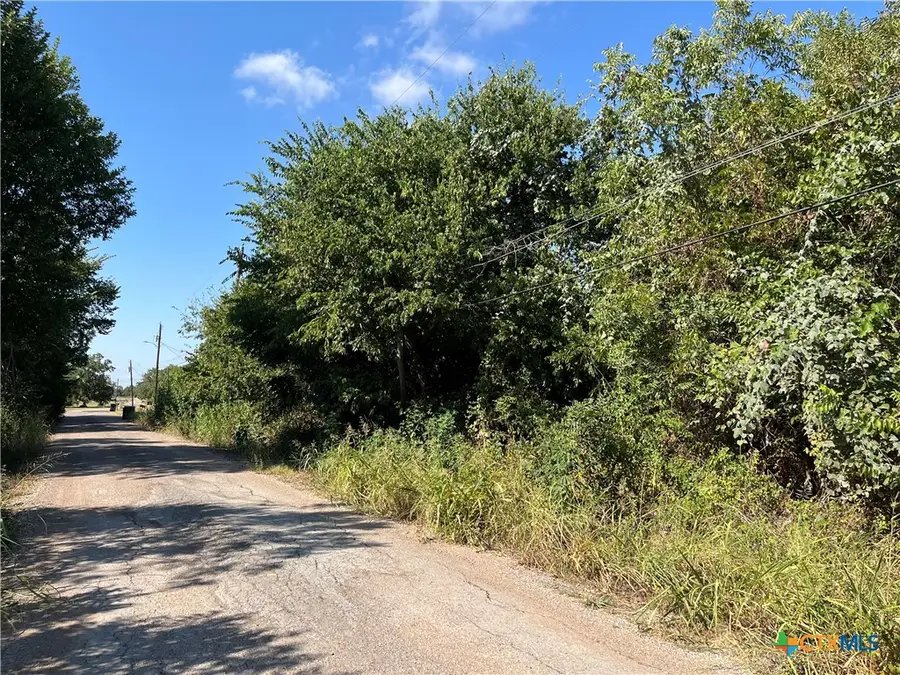 314 N West Front Street, Holland, TX 76534 - #3