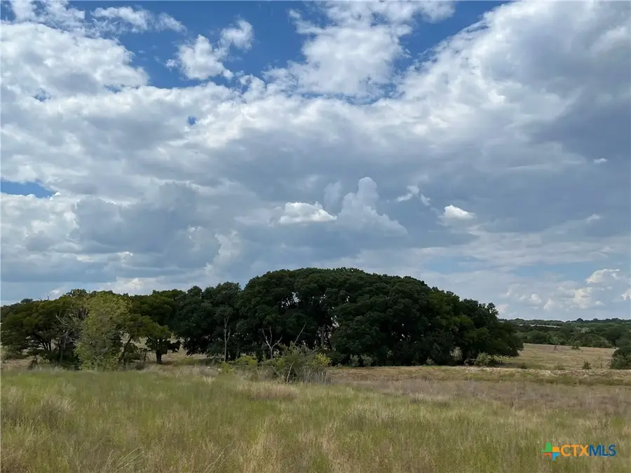 4009 N Highway 183, Lampasas, TX 76550 - #3