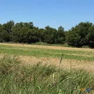 TBD Tx-95, Holland, TX 76534 - #1