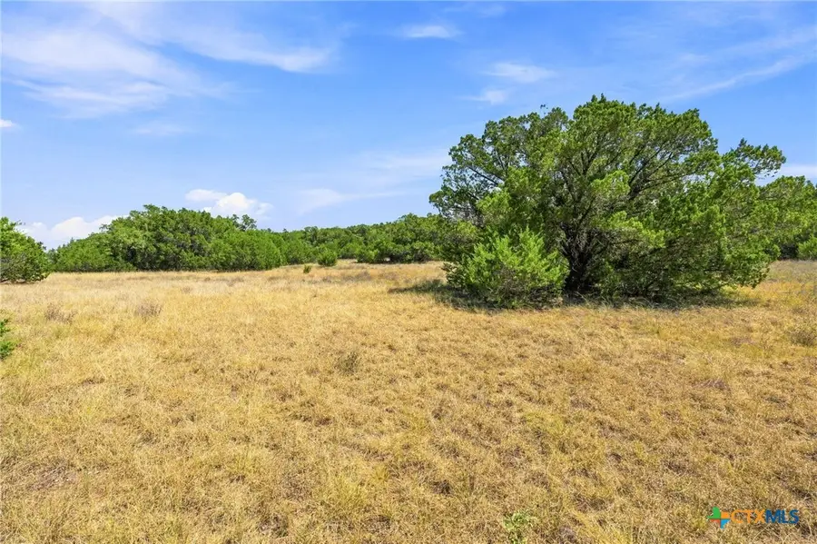 TBD LOT 2 (10.68 Ac) Lipan Run, Fischer, TX 78623 - #2