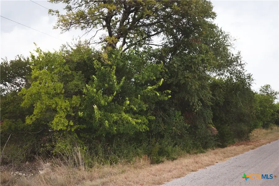 5865 County Road 2600, Lometa, TX 76853 - #3