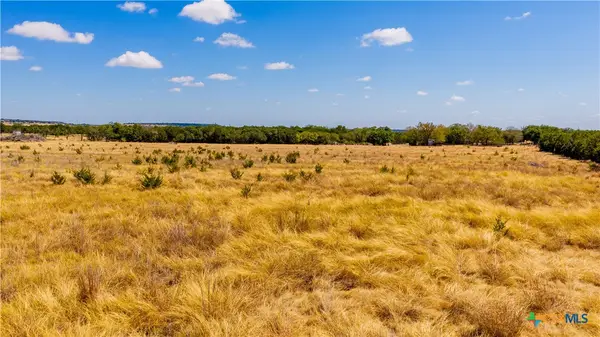 00 County Road 2644, Lometa, TX 76853