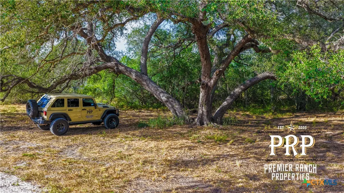 1776 Fm 1351, Goliad, TX 77963 - #1