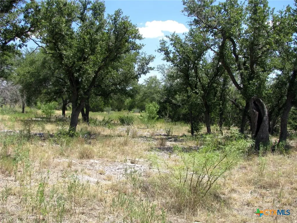 TBD-Lot 23 Ph 1 Pr 4218, Evant, TX 76525 - #1