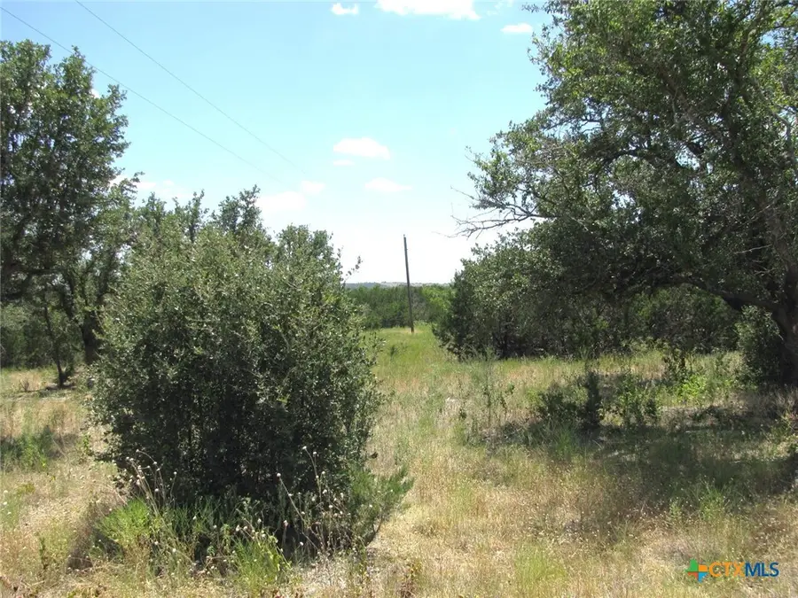TBD-Lot 23 Ph 1 Pr 4218, Evant, TX 76525 - #3